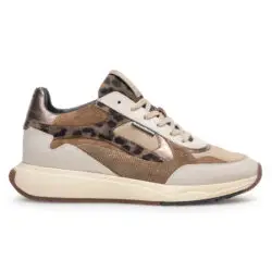 Floris van Bommel taupe sneakers